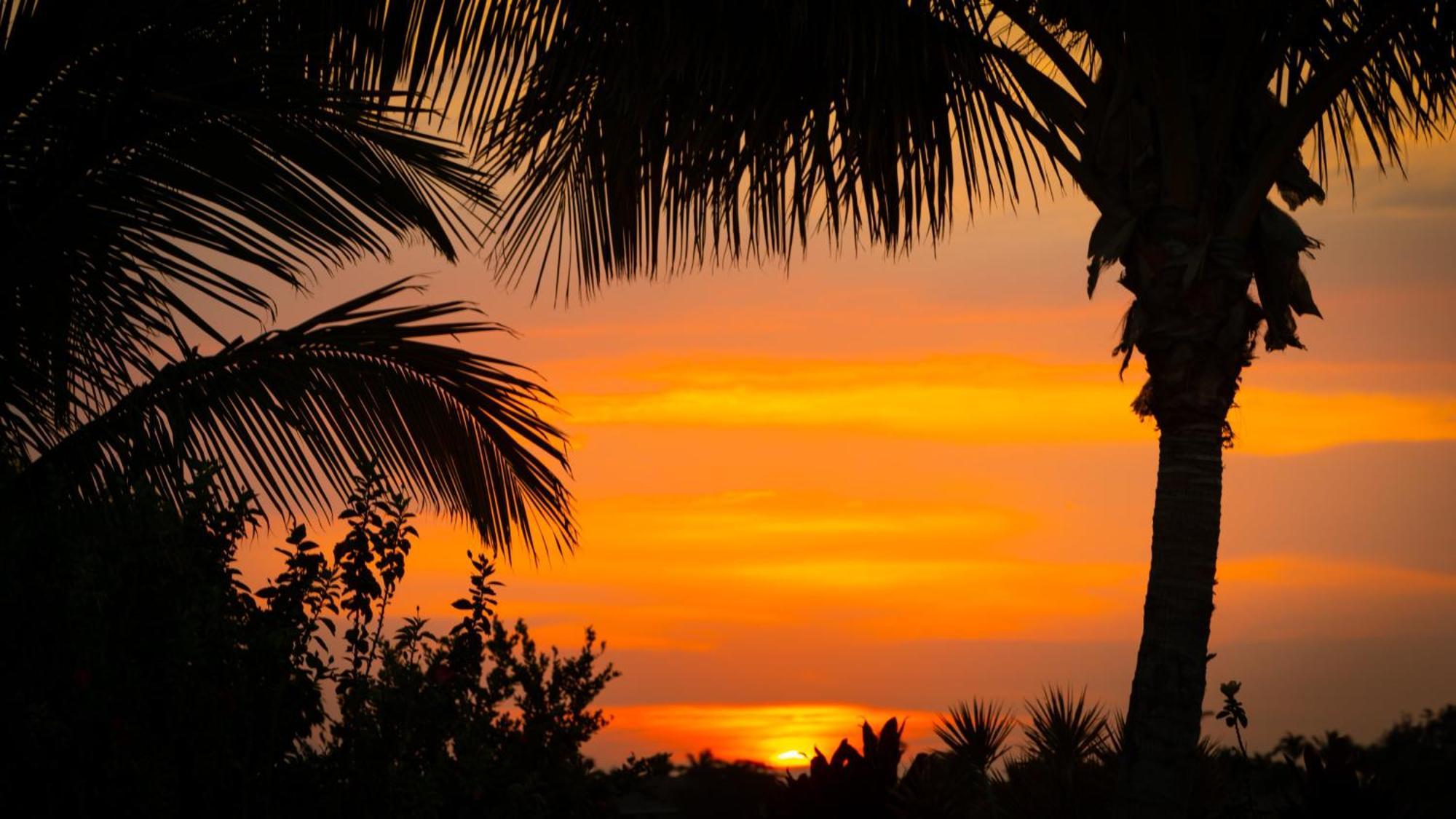 Starry Nights Dreamy 4Br Ainamalu Home With Mountain View Waikoloa Exteriér fotografie