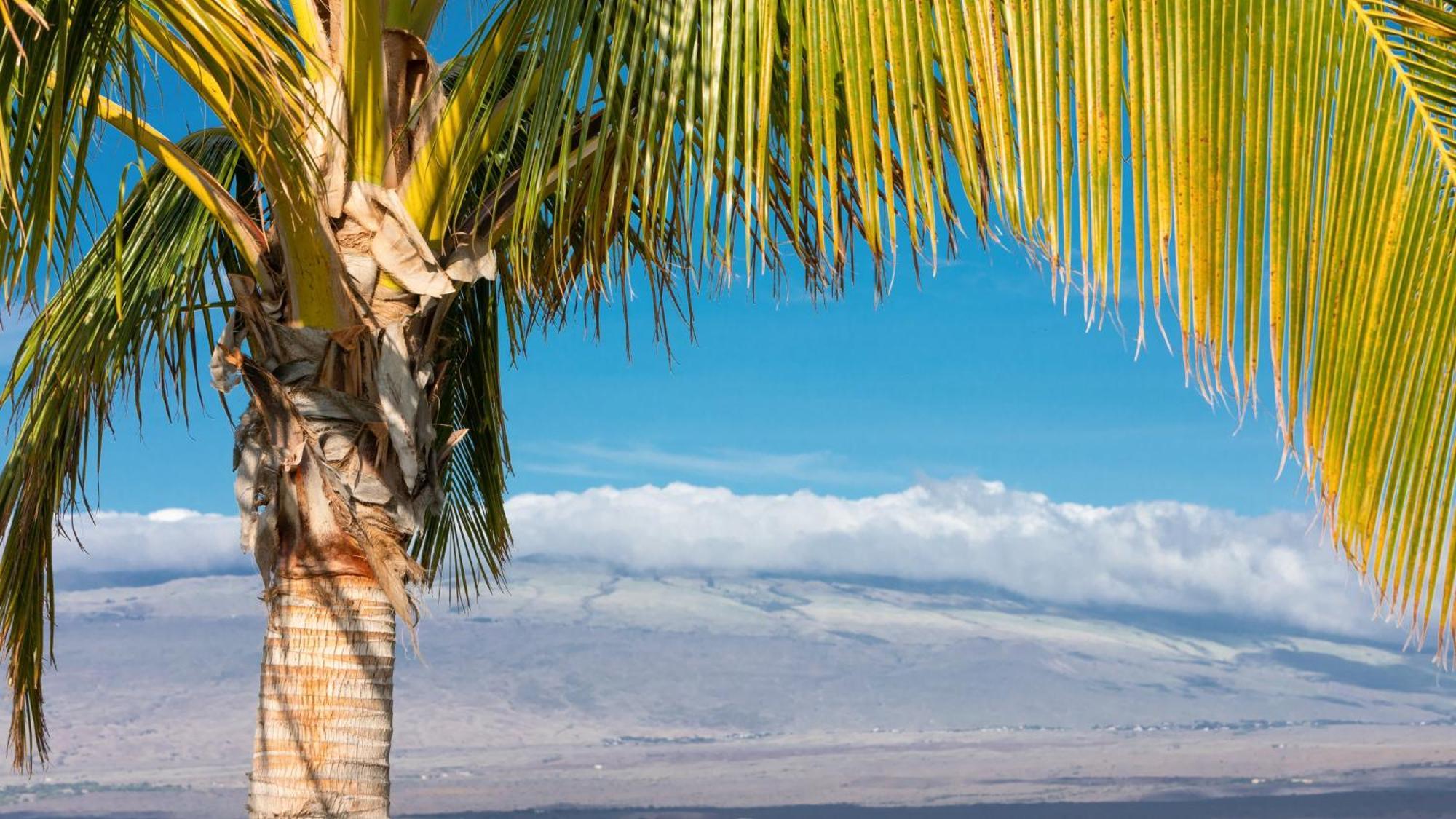 Starry Nights Dreamy 4Br Ainamalu Home With Mountain View Waikoloa Exteriér fotografie