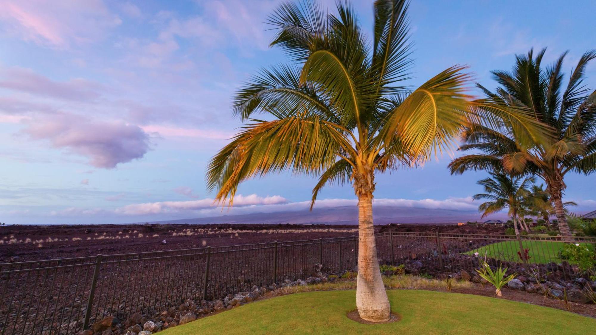 Starry Nights Dreamy 4Br Ainamalu Home With Mountain View Waikoloa Exteriér fotografie